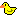 duckie.gif